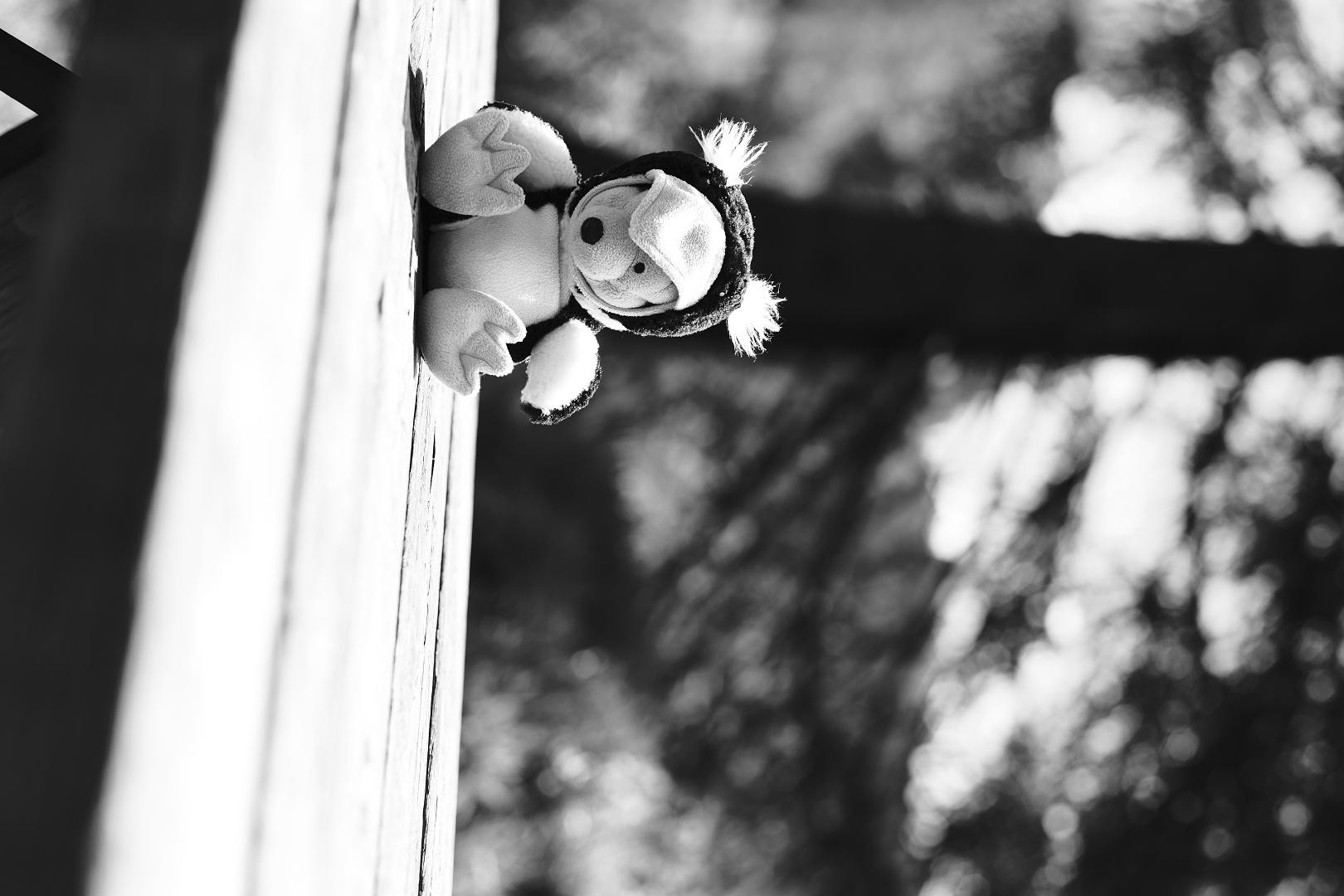Photograph: fashion
